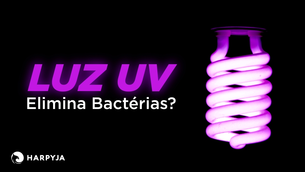 post Luz UV Elimina Bactérias?